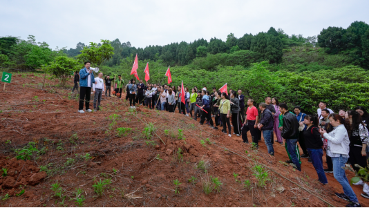 省腾龙国际平台集团开展龙泉山城市森林公园 “包山头”植树活动