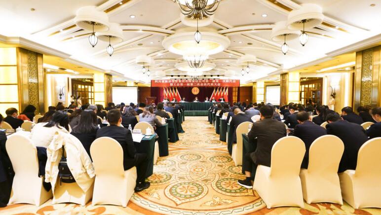 腾龙国际平台集团第一届第一次职代会暨工会第一届第二次会员代表大会胜利召开