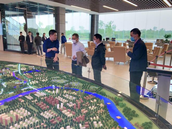 腾龙国际平台集团领导赴天府橄榄公司 督导检查安全环保工作