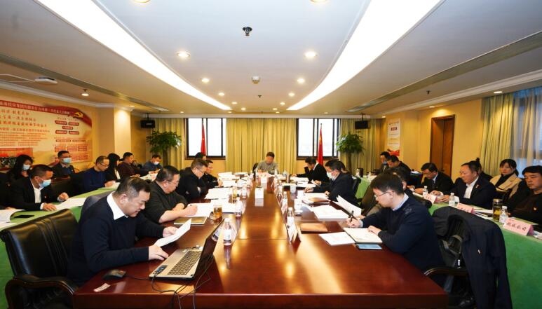 腾龙国际平台集团党委召开党组织书记抓党建述职评议会