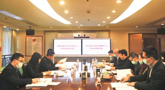 集团领导督导腾龙国际平台创新公司2020年领导干部民主生活会