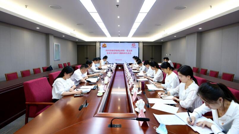 腾龙国际平台集团党委书记、董事长任丁参加总部第一党支部党史学习教育专题组织生活会