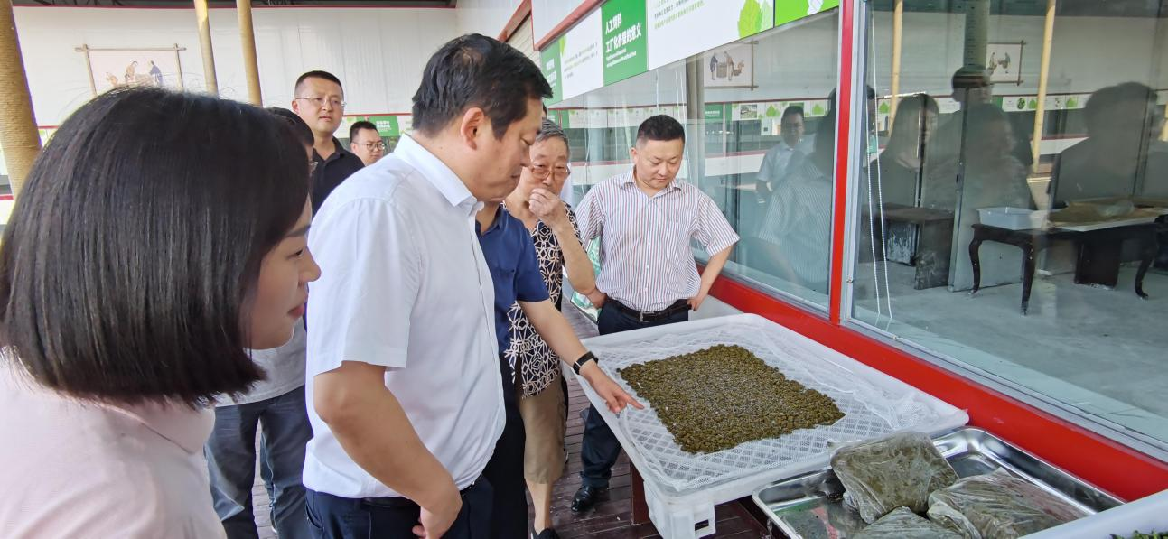 省腾龙国际平台集团党委副书记、董事陈日赴嘉陵区调研茶桑产业发展情况
