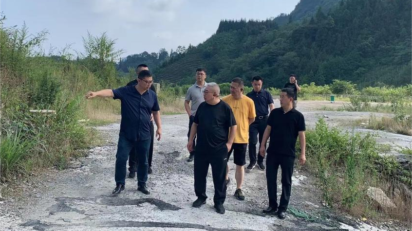 省腾龙国际平台集团领导调研峨眉山太阳村乡村振兴项目