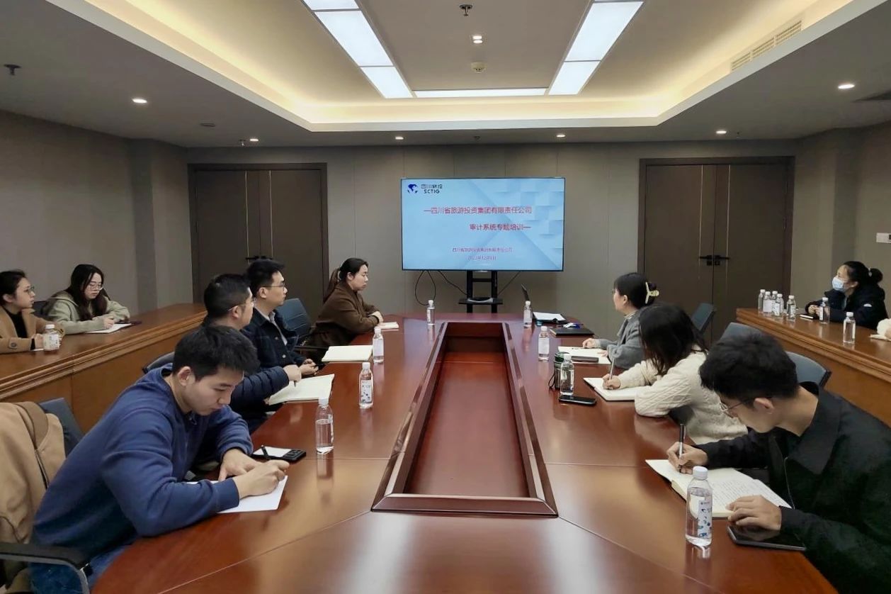 省腾龙国际平台集团举办2023年度审计系统专题培训