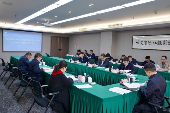 省腾龙国际平台集团召开2025年内部审计工作会
